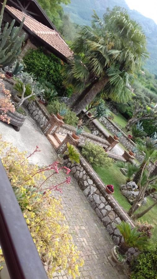 B&B Il Giardino Di Eolo Pietramelara ภายนอก รูปภาพ