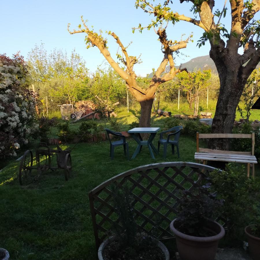 B&B Il Giardino Di Eolo Pietramelara ภายนอก รูปภาพ